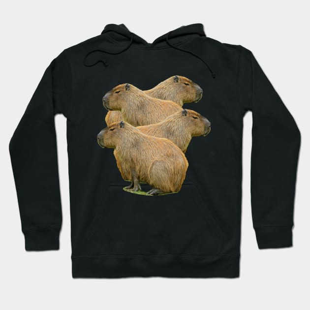 Capybara Stack Hoodie by dalyndigaital2@gmail.com